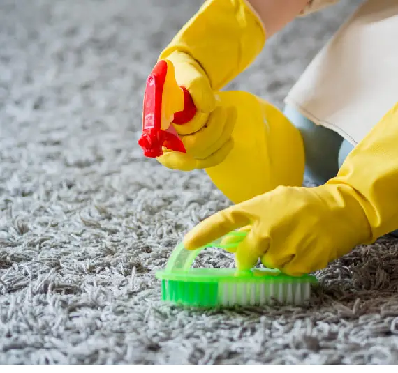 Choose the professional among the professional at Carpet Cleaning Preston